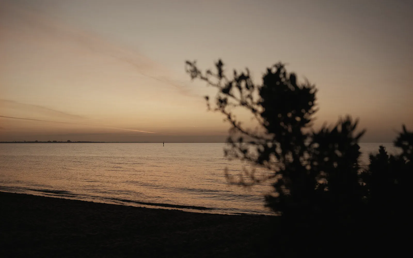 Coastal scrub dark against the last apricot light over a calm bay
