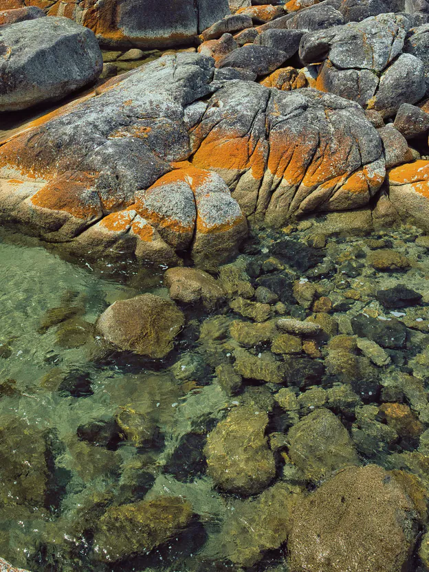 A clear rock pool over stones and kelp among granite boulders with orange lichen