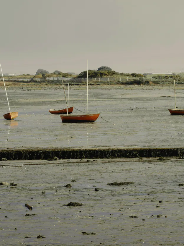 Small boats on their moorings at low tide, the wet flats silver and a low scrubby shore behind