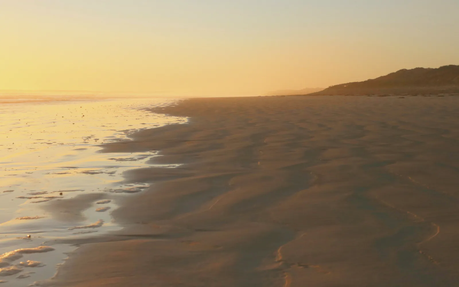 The beach at low tide in the last light, the wet sand holding a cream gold glow below the dark dunes