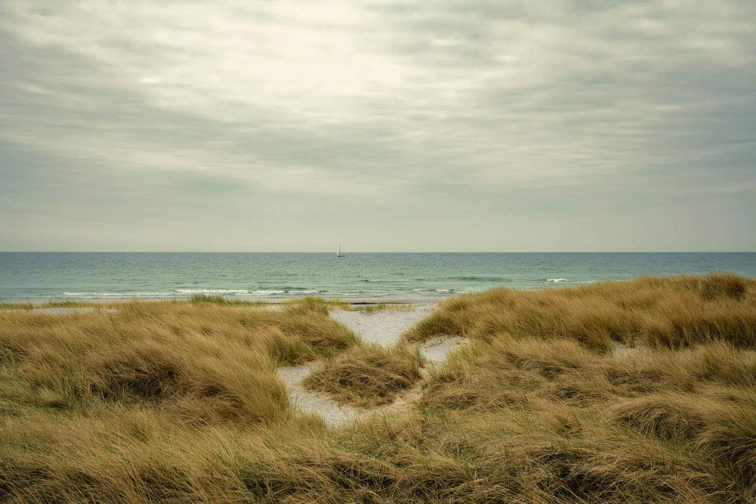 A sandy gap through the marram on the foredune to a pale, calm sea under silver cloud