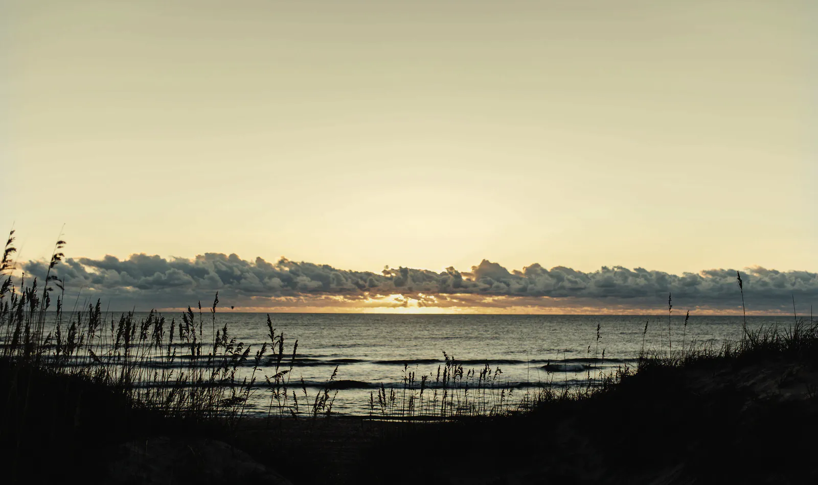 The bay from the dunes in the last light, grass heads in front and the sun low behind a bank of cloud
