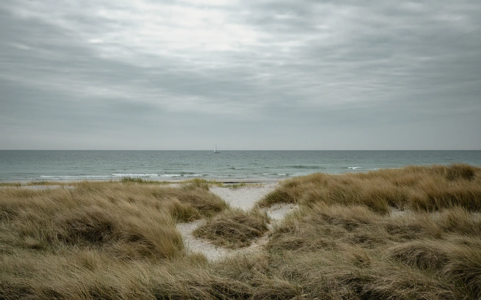A sandy gap through the marram on the foredune to a pale, calm sea under silver cloud