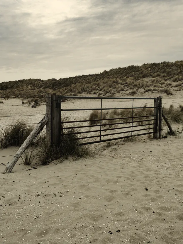 A timber post fence and a farm gate on the sand among the dunes
